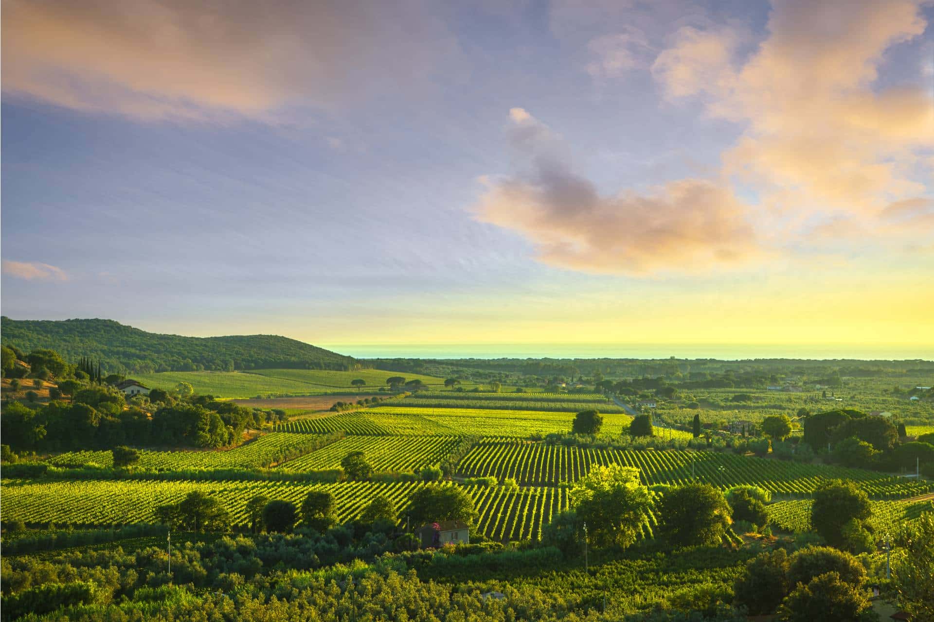 Viaggio in Toscana con amici - Vacanze marine