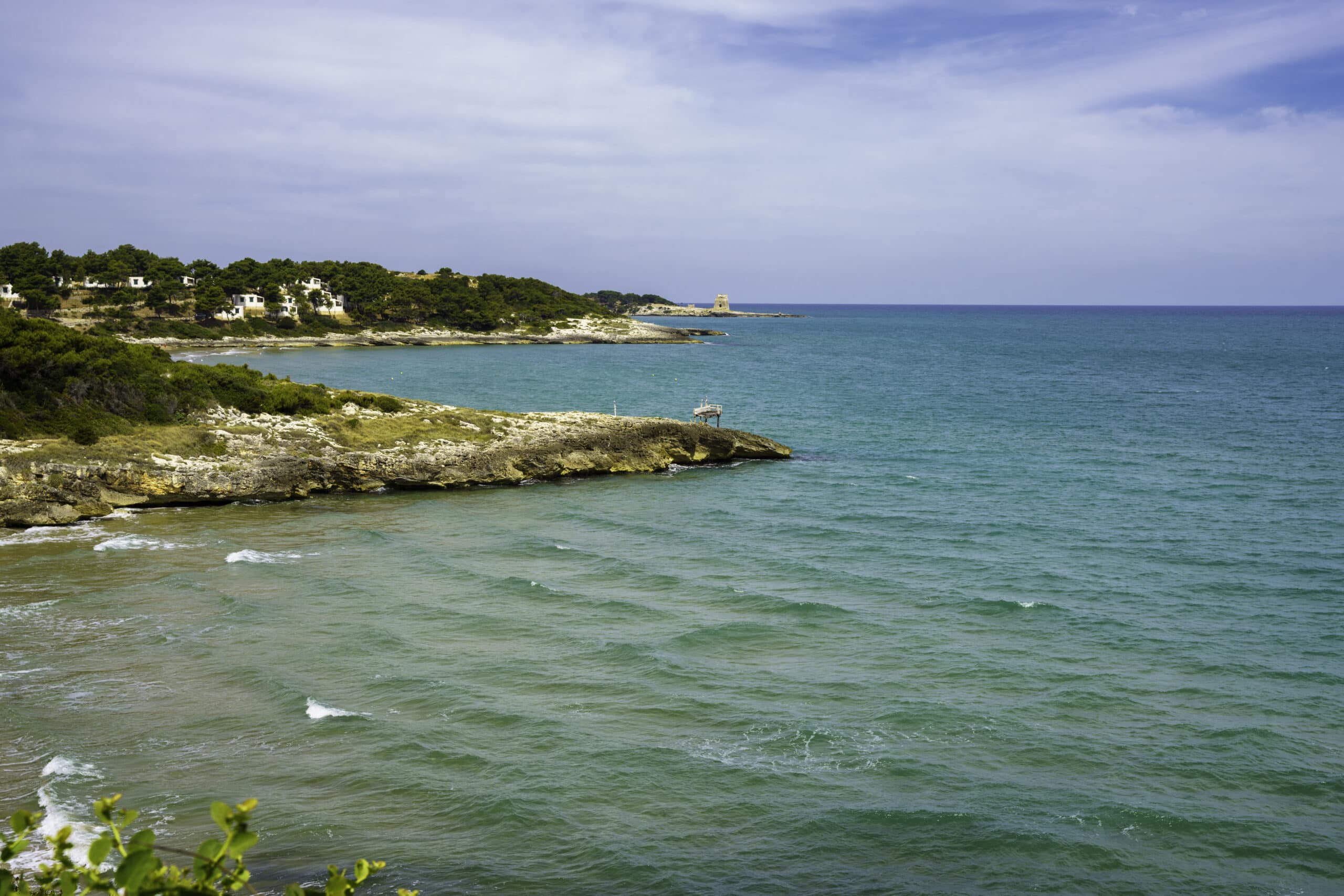 costa del gargano con mare turchese e vegetazione mediterranea - vacanze-marine.it